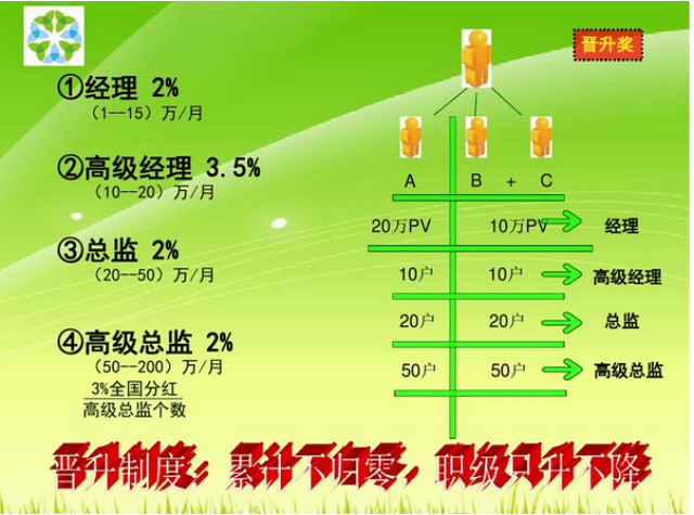 綠葉集團全新獎勵制度，開啟學習與成長之門，共創輝煌篇章！