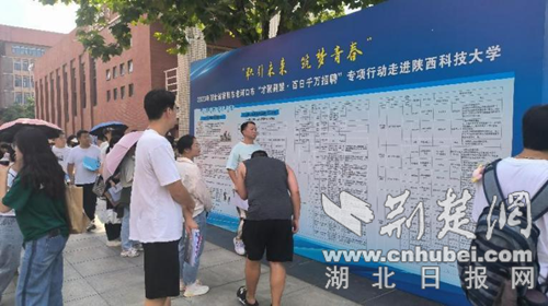 襄陽(yáng)老河口最新招工現(xiàn)象，觀點(diǎn)論述與深度解析