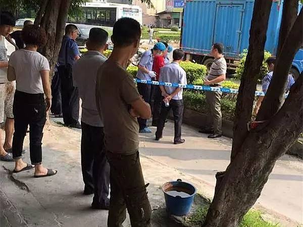 東莞押運(yùn)員殺人最新,東莞押運(yùn)員殺人最新事件